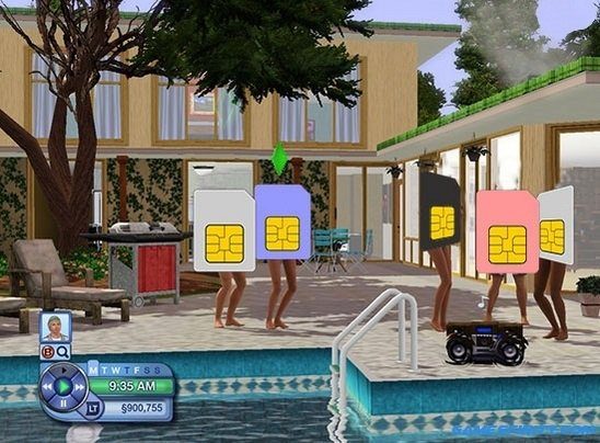 The Sims